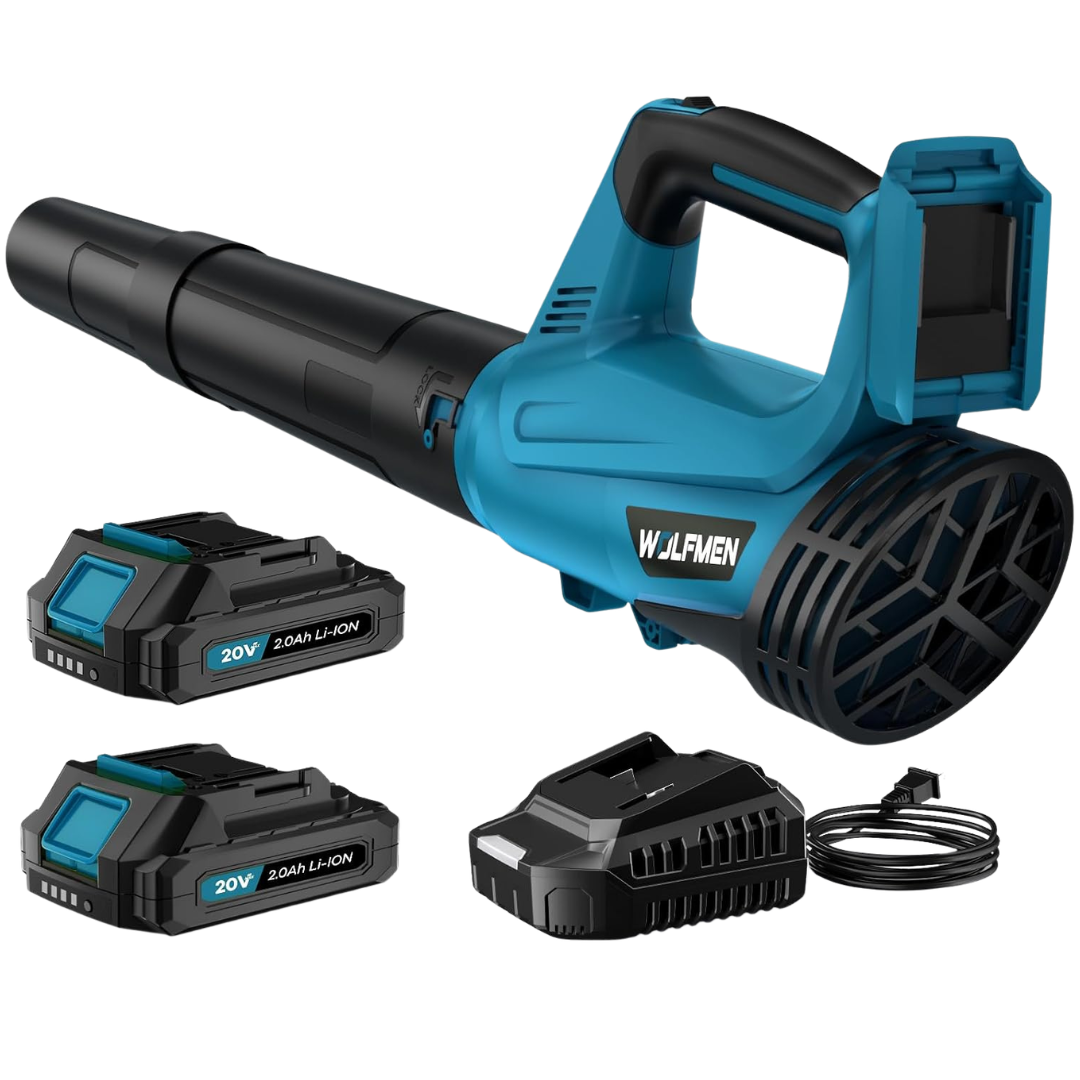 Electric Cordless Leaf Blower With 2 Batteries And Charger (3 Colors)
