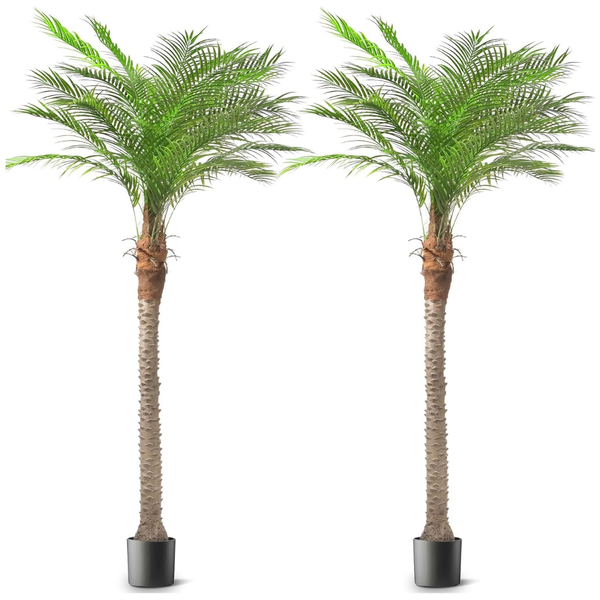 2-Pack Vitalismo 9' Tall Artificial Phoenix Palm Tree