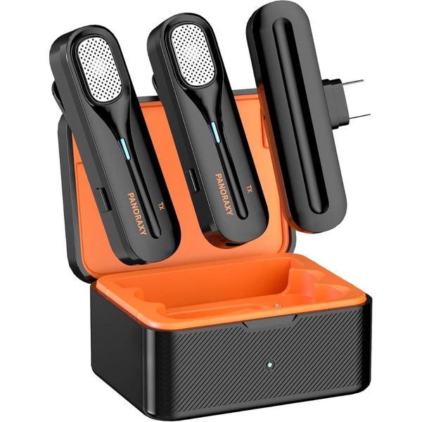 2-Pieces Professional Mics With Charging Case