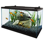 Tetra LED 10 Gallon Complete Fish Tank Kit