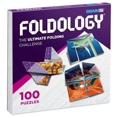 100 Foldology Origami Puzzle Game Teasers