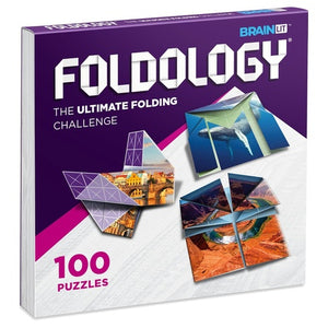 100 Foldology Origami Puzzle Game Teasers