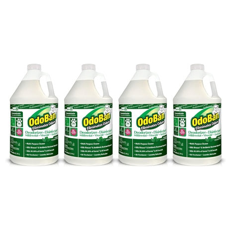 4 Bottles OdoBan Disinfectant Odor Eliminator Concentrate