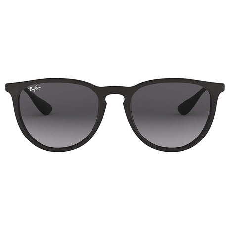 Ray-Ban Erika Classic Sunglasses