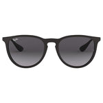 Ray-Ban Erika Classic Sunglasses