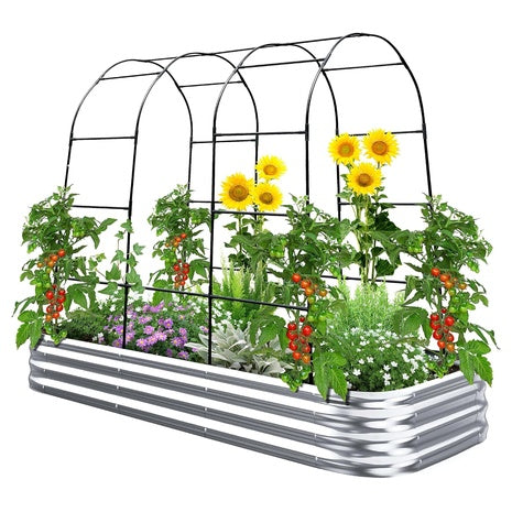 King Bird Raised Garden Bed With Arched Trellis