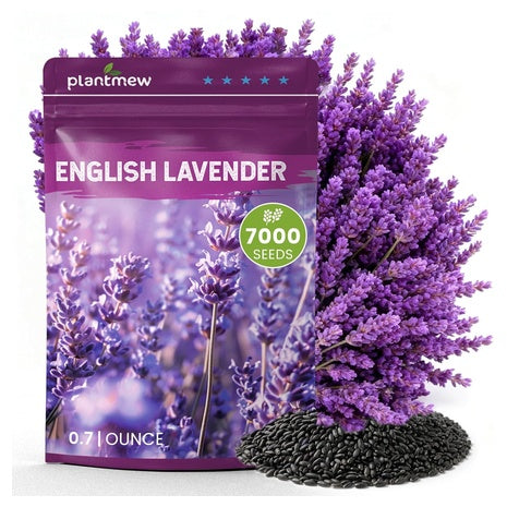 0.7-Oz Plantmew 7000+ Heirloom Lavender Seeds