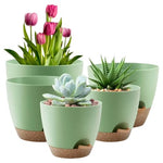 5-Pack Foukus Self-Watering Plant Pots With Drainage (3 Colors)