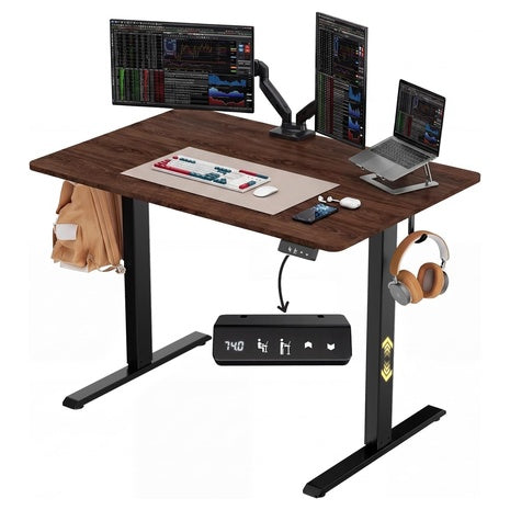 Next Beauty 48" X 24" Electric Standing Desk
