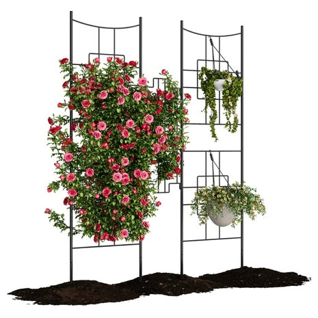 5.5ft Tall Rustproof Metal Garden Trellis Arch