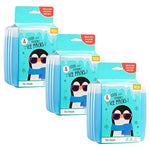 12 Slim Cool Coolers Ice Packs