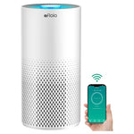 Large Room Air Purifiers