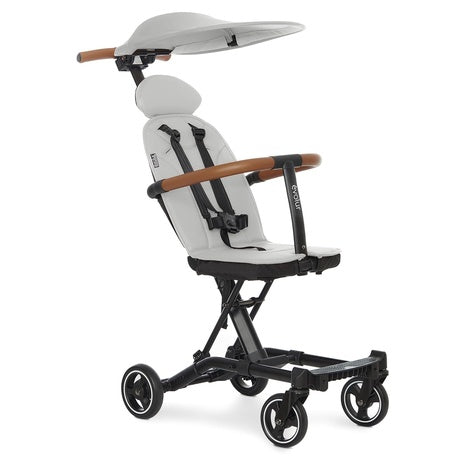 Evolur Cruise Rider Stroller with Canopy