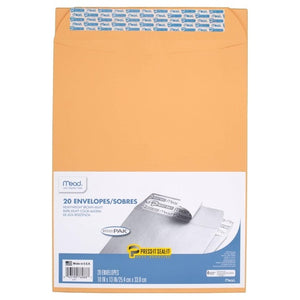 20 Mead Press-It Seal-It Envelopes