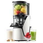 3-in-1 Slow Masticating Juicer