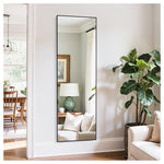 Simple Deluxe Full-Length Floor Mirror (64″ × 21″)