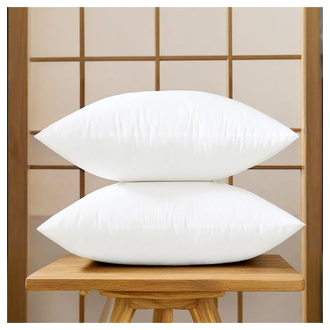 2-Pack Square Decorative Throw Pillow Inserts