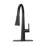 Allen + Roth Bryton Pull-Down Kitchen Faucet With Sprayer