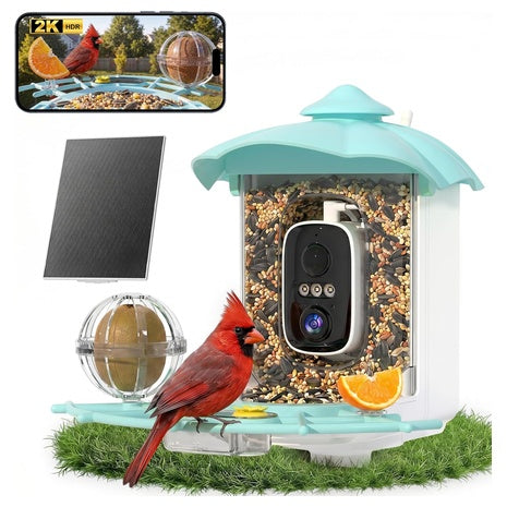 Smart Bird Feeder With Camera & AI Bird Identification (2 Colors)