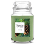 22oz Yankee Candle Scented Candles