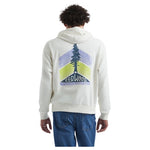 Hanes Men's Lightweight French Terry Hoodie