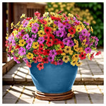 Artificial Flowers Fake Plants For Outdoors Spring Decoration (Various)