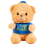 Chanukah Teddy Bear
