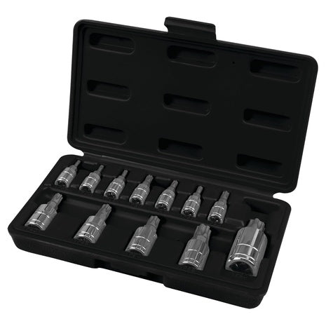 12-Piece Performance Tool W38804 Star Plus Bit Socket Set