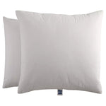 2-Pack The Big One Feather Fill Euro Pillow Set