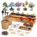 Bonsai Tree Kit