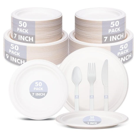 250 Piece Disposable Dinnerware Set