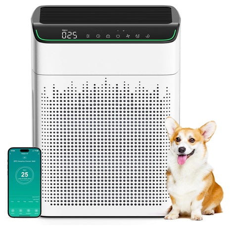 Large Room HEPA Air Purifier (1690 ft²)