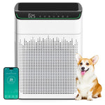 Large Room HEPA Air Purifier (1690 ft²)