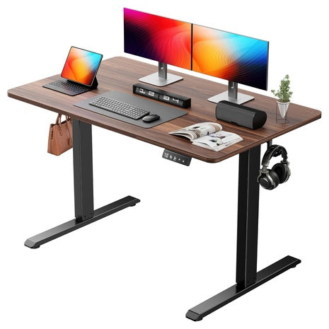 48" X 24" Next Beauty Electric Standing Desk