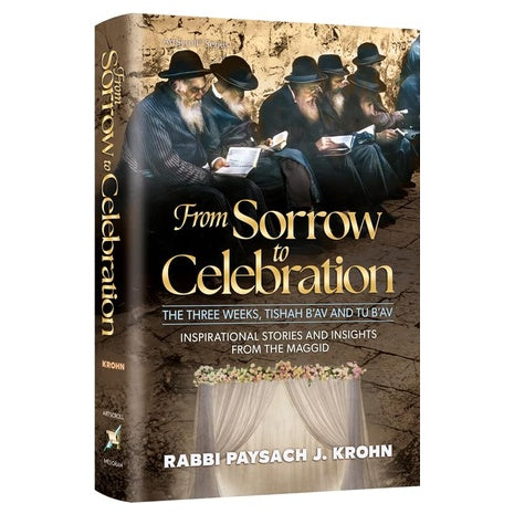 From Sorrow To Celebration Inspirarional Stories And Insights From The Maggid