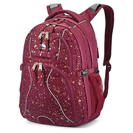High Sierra Swerve Laptop Backpack