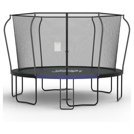 10FT Outdoor Trampoline with Safety Net and Ladder