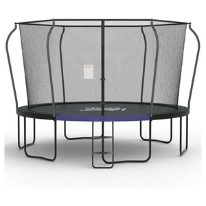 10FT Outdoor Trampoline with Safety Net and Ladder