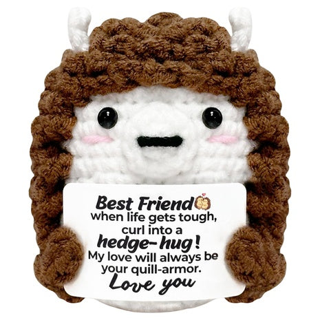 Crochet Hedgehog Best Friend Gift