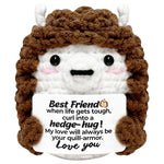 Crochet Hedgehog Best Friend Gift
