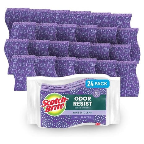 24 Scotch-Brite Odor Resist Sponges