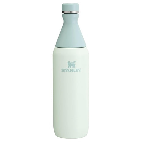 Stanley All Day Slim 20 oz Insulated Water Bottle