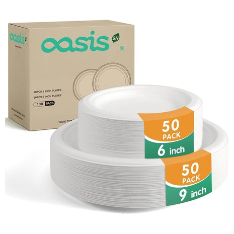 100 Compostable Paper Plates Set