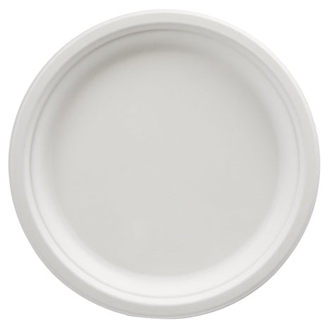 500 Amazon Basics 10-Inch Disposable Plates