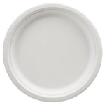 500 Amazon Basics 10-Inch Disposable Plates