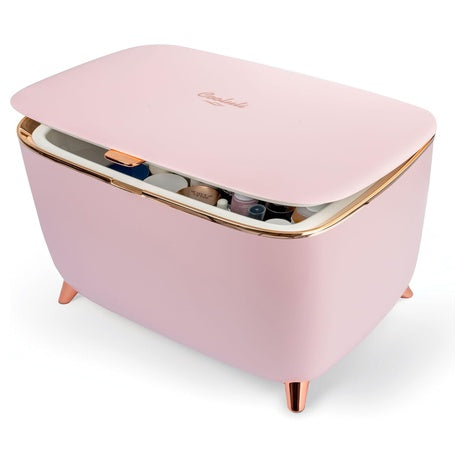Mini Skincare Fridge