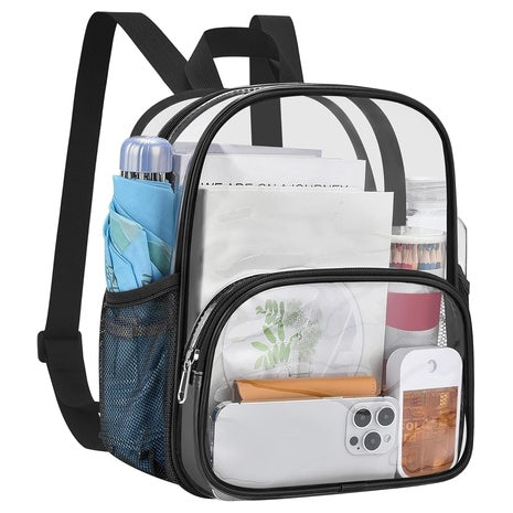 Small Clear Backpack