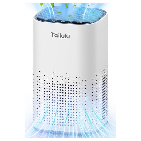 Large Room HEPA Air Purifier