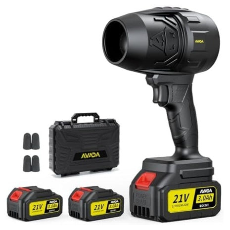 300000 RPM Electric Cordless Leaf Blower With 2 Battery & Charger