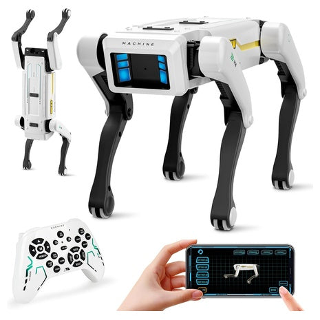 Interactive Smart Robot Dog With Voice Control